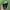 iPhone Xs 256gb Spacegray photo 2