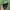 IPhone Xs 256gb Spacegray