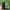 iPhone Xs 256gb Spacegray photo 3