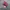 NIKE AIR JORDAN X OFF WHITE SECOND 40 photo 5