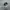 NIKE AIR JORDAN MID SECOND 40 photo 2