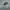 NIKE AIR JORDAN MID SECOND 40 photo 1