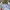 Jacket Windbreakers Canvas Yonex photo 5