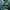 Nike Sportswear Jersey Pria green photo 4