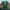 Nike Sportswear Jersey Pria green photo 1