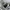 BIKE SACAI X WAFFLE WHITE WOLF GREY SECOND 40  photo 5