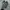 BIKE SACAI X WAFFLE WHITE WOLF GREY SECOND 40  photo 4