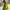 Y2K GORPCORE JAKET FITZROY WEATHER PROTECTOR SHELL