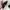 Off-White Luxury Sneakers Pria white black photo 2