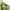ZARA Vintage Cottagecore Crop top Wanita green photo 2