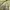 ZARA Vintage Cottagecore Crop top Wanita green photo 3