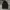 1:24 nylon cargo balloon pants  photo 4