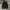 1:24 nylon cargo balloon pants  photo 3