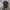Kaos TEE T-shirt New Era Full print full tag & label Authent photo 2
