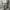 GLW grey baggy jeans photo 1