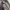 Allegri italy casual work jacket Harington photo 7