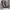 Harington current stage - Harrington jacket photo 4