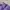 X-Girl Dessert Camo Purple Maxi Skirt 2000an photo 4