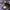X-Girl Dessert Camo Purple Maxi Skirt 2000an photo 3