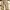 Alfred dunner Relax pants Corduroy  photo 1