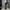 SOMETHING by EDWIN BOOTCUT DEEP BLUE JEANS photo 7