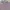 Uniqlo Cardigan Sweater Basic V-Neck Lilac Atasan Wanita  photo 2