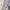 Uniqlo Cardigan Sweater Basic V-Neck Lilac Atasan Wanita  photo 3