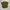 Casual Casual shirt Pria green photo 4