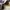 A Bathing Ape Vintage Streetwear Sneakers Pria multicolor photo 4