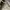 A Bathing Ape Vintage Streetwear Sneakers Pria multicolor photo 2