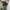 A Bathing Ape Vintage Streetwear Sneakers Pria multicolor photo 3