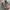 A Bathing Ape Vintage Streetwear Sneakers Pria multicolor photo 1