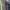 A Bathing Ape Vintage Streetwear Sneakers Pria multicolor photo 5