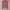 ZARA PINK SWEATER SWETER TOP ATASAN WOMEN'S COLLAR POLO photo 8
