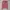 ZARA PINK SWEATER SWETER TOP ATASAN WOMEN'S COLLAR POLO