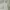 Casual High waisted jeans Wanita white photo 4