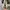 Converse allstar My Story White photo 6