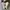 Converse allstar My Story White photo 4
