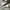 Converse allstar My Story White photo 1