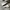 Converse Allstar My Story White