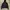 Champion Eco Black Hoodie  photo 1