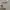 modem wifi 4G photo 1