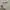Modem Wifi 4G
