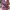 Longdress korea photo 2