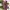 Longdress korea photo 1