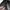Ala Cartier Vintage 2in1 Crossbody Backpack  photo 4