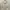 Luxury Casual Blazer Pria white photo 2