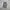 Dickies 874 not nike adidas new balance palace wtaps dickies photo 1