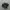 nike af1 black photo 1