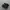 nike tn photo 1